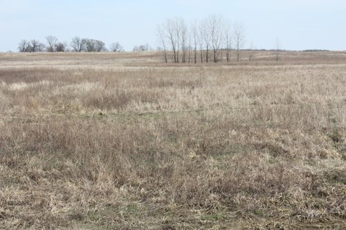 Property photo 9 - 194.67 Acres Offered in 2 Tracts